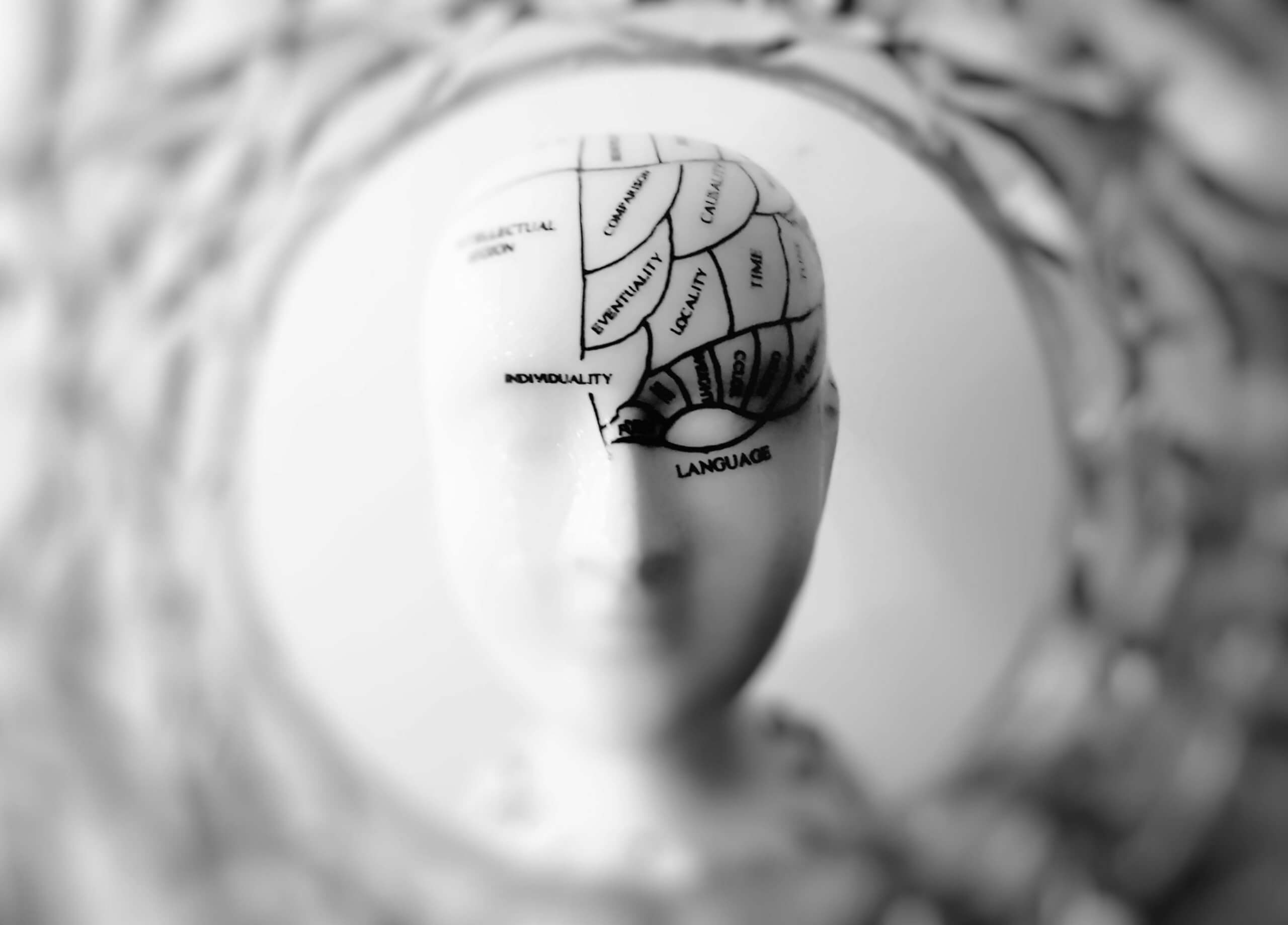 Représentation symbolique du cerveau humain avec zones fonctionnelles annotées, illustrant l’importance du mental et des connexions cérébrales dans la performance sportive.