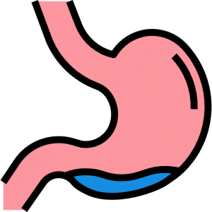 osteopathe viscéral